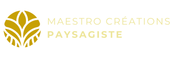 Création sans titre (2)-2