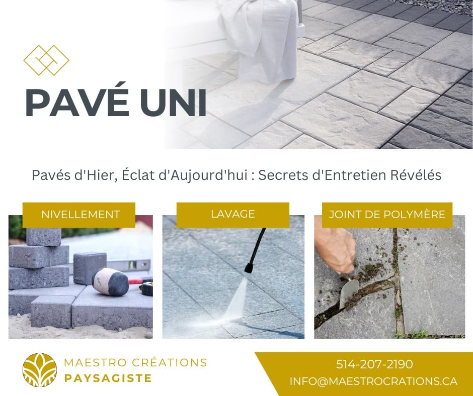 pavé uni image